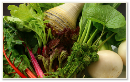 高原野菜や山菜