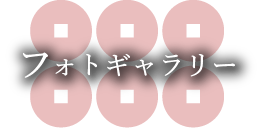フォトギャラリー